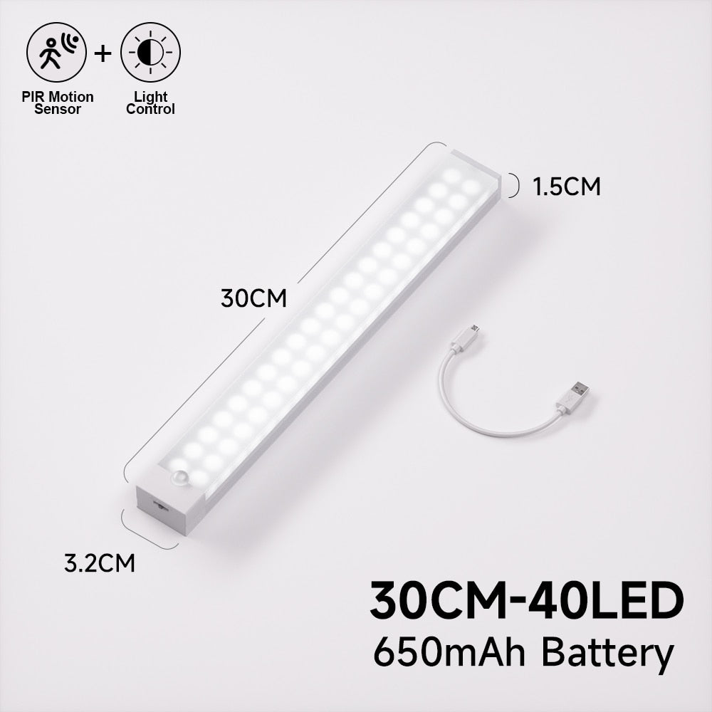 LED Sensor Light